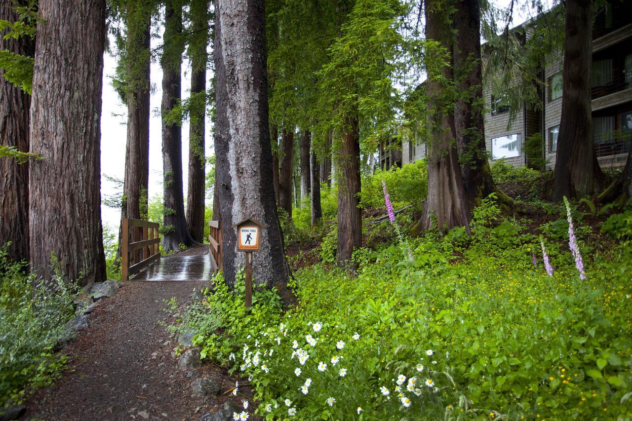 Lake Quinault Lodge Buitenkant foto